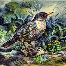 Cross stitch pattern: #2723962