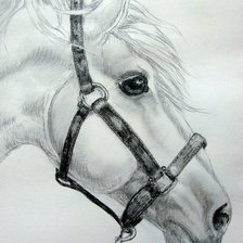 Cross stitch pattern: #2724453