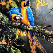 Cross stitch pattern: #2724505