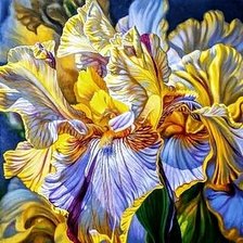 Cross stitch pattern: #2725033