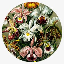 Cross stitch pattern: #2725035