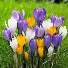 Cross stitch pattern: #2726983