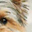 Preview of cross stitch pattern: #2727468