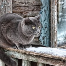 Cross stitch pattern: #2729040