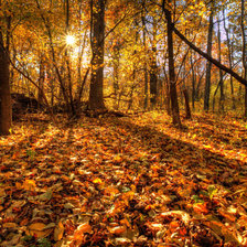 Source of cross stitch pattern: #2729067