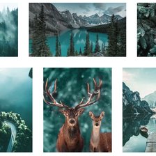 Cross stitch pattern: #2729508