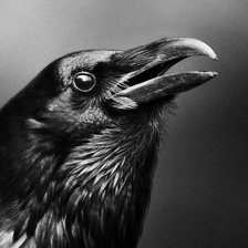 Cross stitch pattern: #2729739