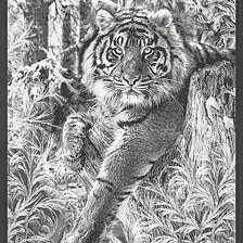 Cross stitch pattern: #2729769