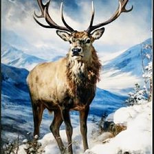 Cross stitch pattern: #2730410