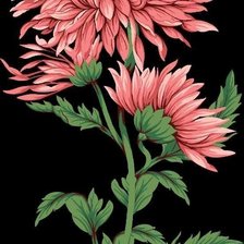 Cross stitch pattern: #2730427