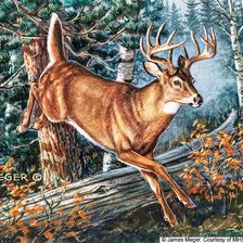 Cross stitch pattern: #2730730