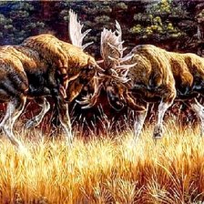 Cross stitch pattern: #2730750