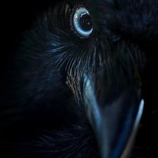 Source of cross stitch pattern: #2730796