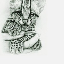 Cross stitch pattern: #2731185