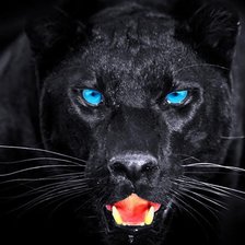 Source of cross stitch pattern: #2732521