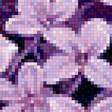 Preview of cross stitch pattern: #2738382