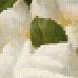 Preview of cross stitch pattern: #2738755