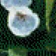 Preview of cross stitch pattern: #2746480