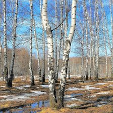 Cross stitch pattern: #2752710