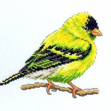 Source of cross stitch pattern: #2767743