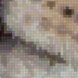 Preview of cross stitch pattern: #2770895