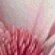 Preview of cross stitch pattern: #2782101