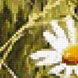 Preview of cross stitch pattern: #2785012