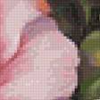 Preview of cross stitch pattern: #2786314