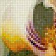 Preview of cross stitch pattern: #2788425