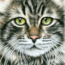 Cross stitch pattern: #2794256