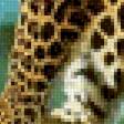 Preview of cross stitch pattern: #2803531