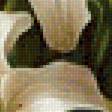 Preview of cross stitch pattern: #2819162