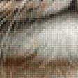 Preview of cross stitch pattern: #2830851