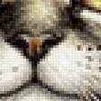 Preview of cross stitch pattern: #2839589