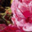 Preview of cross stitch pattern: #2852296