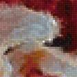 Preview of cross stitch pattern: #2853890