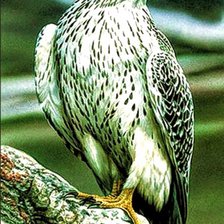 Cross stitch pattern: #2873051