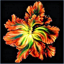 Cross stitch pattern: #2873319