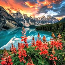 Cross stitch pattern: #2873346