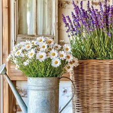 Cross stitch pattern: #2875126