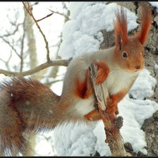 Cross stitch pattern: #2893619