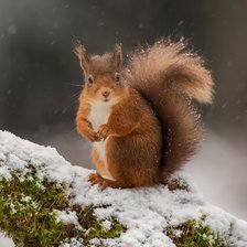 Cross stitch pattern: #2893621