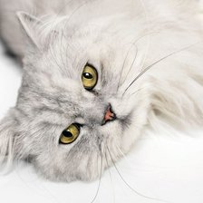 Cross stitch pattern: #2893624