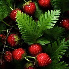 Cross stitch pattern: #2898735