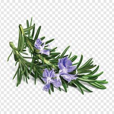 Cross stitch pattern: #2898945