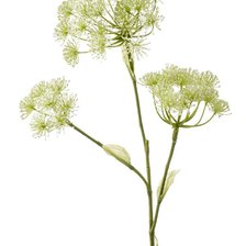 Cross stitch pattern: #2898947