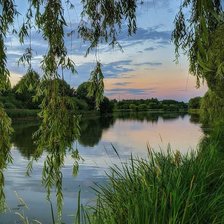 Cross stitch pattern: #2901199