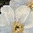 Preview of cross stitch pattern: #2901296
