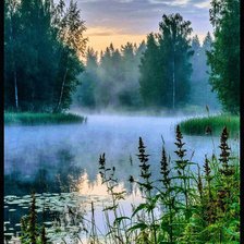 Cross stitch pattern: #2902383