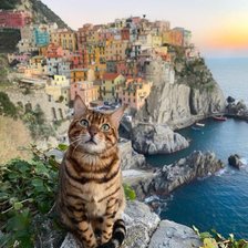 Cross stitch pattern: #2903233